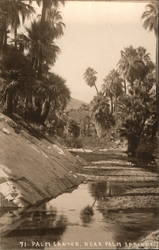 Palm Canyon Near Palm Springs Indio, CA Willard Postcard Postcard Postcard