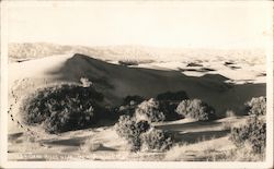 Sand Hills Near Palm Springs California Willard Postcard Postcard Postcard