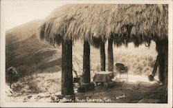 Art Shop, Palm Canyon Postcard