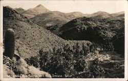 164-Lower Palm Canyon Near Palm Springs Calif California Willard Postcard Postcard Postcard