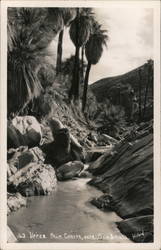 Upper Palm Canyon near Palm Springs Postcard