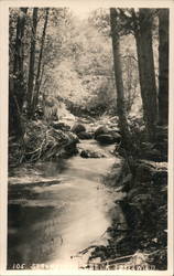 Strawberry Creek San Bernardino, CA Willard Postcard Postcard Postcard