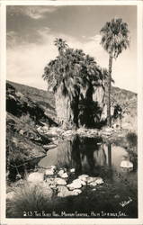 The Fairy Pool, Murray Canyon Palm Springs, CA Willard Postcard Postcard Postcard