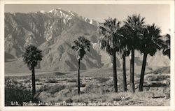 Mt. San Jacinto and Desert Neat Palm Springs Indio, CA Willard Postcard Postcard Postcard