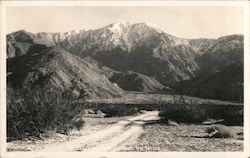 Mount San Jacinto near Palm Springs California Willard Postcard Postcard Postcard