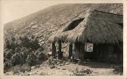 The Palms Thatch Art Shop Indio, CA Willard Postcard Postcard Postcard