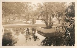 Swimming Pool at The Oasis Palm Springs, CA Willard Postcard Postcard Postcard