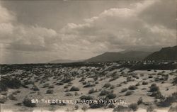 The Desert, Antelope Valley Lancaster, CA Willard Postcard Postcard Postcard