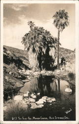 213 The Fairy Pool, Murray Canyon, Palm Springs, Cal. Postcard