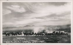 Twenty Mule Borax Team in Death Valley California Willard Postcard Postcard Postcard