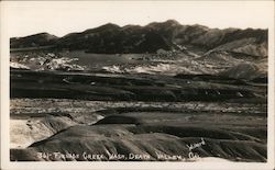 Furnace Creek Wash Death Valley, CA Willard Postcard Postcard Postcard