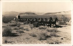 The Twenty-Mule Team Crossing the Desert Postcard