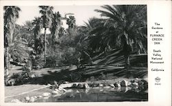 The Gardens at Furnace Creek Inn California Postcard Postcard Postcard