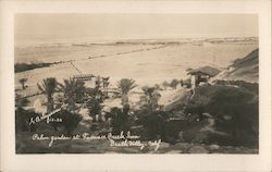 Palm Garden at Furnace Creek Inn Postcard