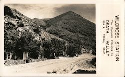 Wildrose Station The Panamint Entrance to Death Valley Postcard