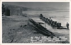 20 Mule Team at the Ruins of the Harmony Borax Works Postcard