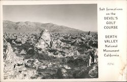 Salt Formations on the Devil's Golf Course Postcard