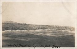 Head of Death Valley - Alkali Beds Postcard