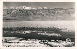 310 Feet Below Sea Level Lowest Point in Western Hemisphere Death Valley National Park California Postcard Postcard Postcard