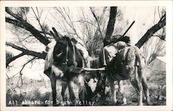 All aboard for Death Valley Postcard