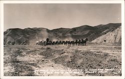 20 Mule Team Wagon Train in Wingate Pass on the Old Route to Death Valley, California Postcard