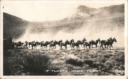 A Twenty Mule Team Death Valley, CA Postcard Postcard Postcard