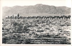 30 Mule Team Crossing Devil's Golf Course Death Valley, CA Postcard Postcard Postcard