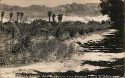 Furnace Creek Ranch Death Valley, CA Postcard Postcard Postcard