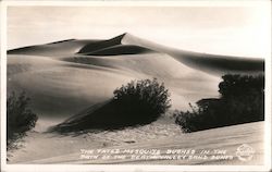 The Fated Mesquite Bushes In The Path of the Death Valley Sand Dunes California Postcard Postcard Postcard