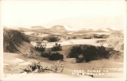 Sand Dunes Postcard