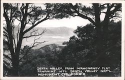 Death Valley from Mahogany Flat Panamint Mts Postcard