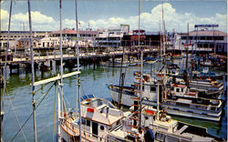 Fisherman'S Wharf Postcard