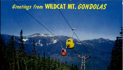 Wildcat Mountain Gondola Postcard