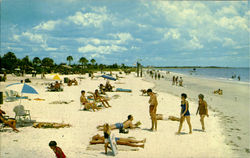 Siesta Key Beach Postcard