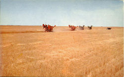 Harvest Time Postcard