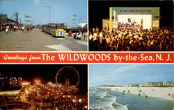 Greeting From The Wildwoods By The Sea N.J Postcard