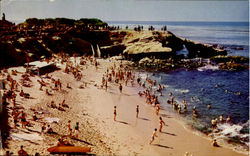 The Cove La Jolla, CA Postcard Postcard