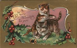 Kittens Playing With Thread Postcard