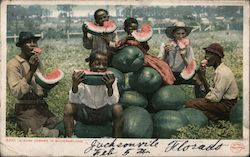 African American Young Men and One White Young Man Eating Watermelon Black Americana Postcard Postcard Postcard