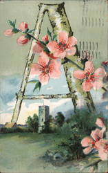 Large Letter A With Magnolias Postcard