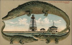 Alligator Border S516 Sand Key Lighthouse Near Key West Florida Postcard Postcard Postcard