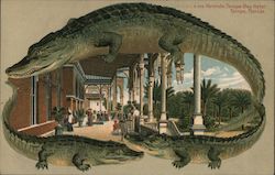 Alligator Border S576 Veranda Tampa Bay Hotel Florida Postcard Postcard Postcard