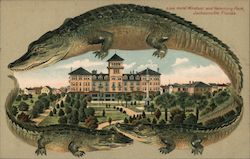 Alligator Border S589 Hotel Windsor and Hemming Park Postcard