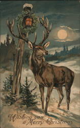 Buck At Night Under Full Moon Christmas Postcard Postcard Postcard