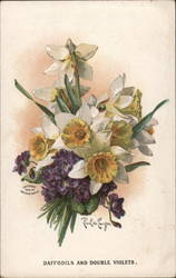 Daffodils and Double Violets Postcard