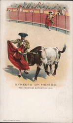 Streets of Mexico Postcard