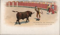 Streets of Mexico Bullfighting Postcard