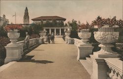 In the Botanical Gardens 1915 Panama-California Exposition Postcard Postcard Postcard