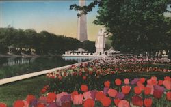 Tulips That Bloomed on Constitution Mall 1939 NY World's Fair Postcard Postcard Postcard