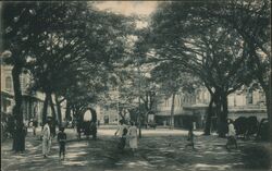 York Street looking towards the jetty Colombo, Sri Lanka Southeast Asia Postcard Postcard Postcard